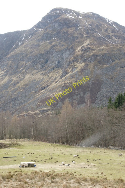 Photo 6"x4" Fields, Acharn Acharn\/NO2876 c2010