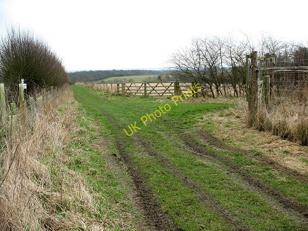 Photo 6"x4" Footpath junction near Woodperry Stanton St John c2010
