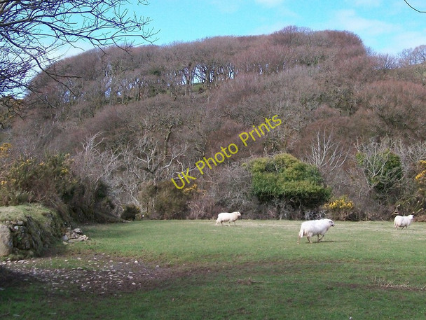 Photo 6"x4" Path from St Cybi's church to the holy well of St Cybi Llangybi\/SH4241 c2010