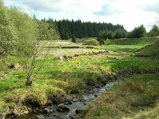 Photo 6"x4" Burn and Dykes in Carron Valley Forest Carron Valley Forest c2006
