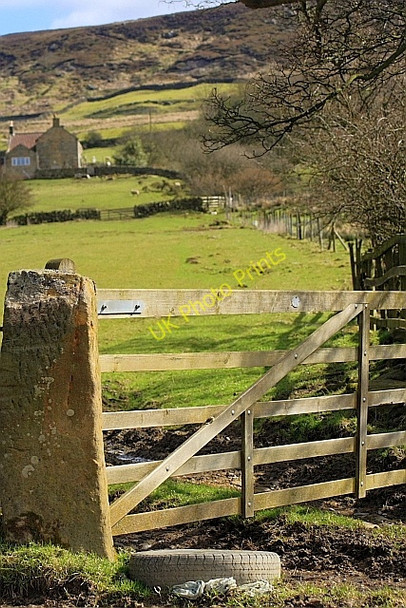 Photo 6"x4" Public Footpath to Low Cowhelm Farm The Grange\/SE5796 c2010