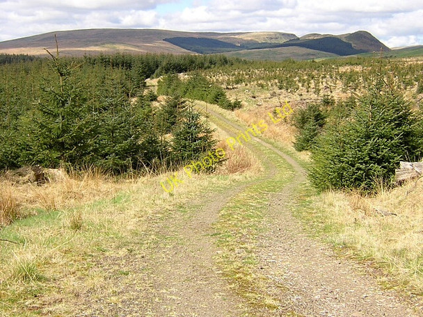 Photo 6"x4" Track in Carron Valley Forest River Carron\/NS6684 c2006