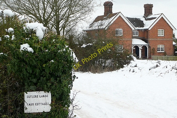 Photo 6"x4" Butlers Lands West End Green c2010