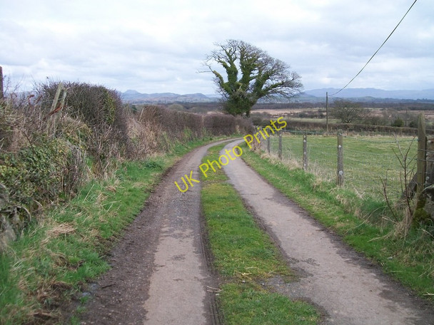 Photo 6"x4" Country lane below Cadair Elwa farmhouse Rhosgyll c2010