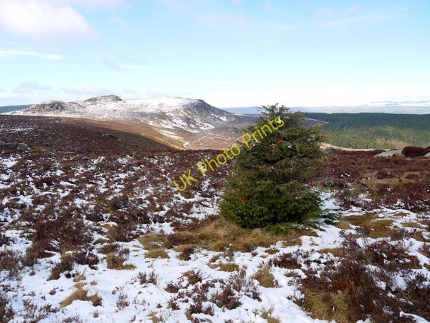 Photo 6"x4" Simonside Hills from Dove Crag Newtown\/NU0300 c2010