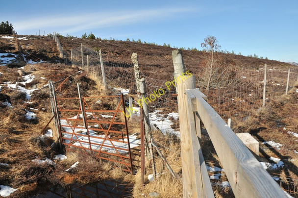 Photo 6"x4" Fences meeting Crask of Aigas c2010