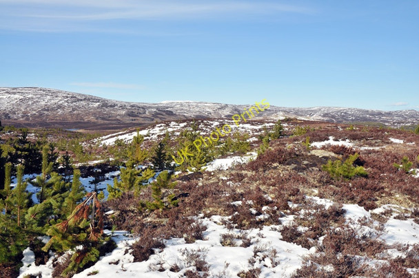 Photo 6"x4" Buachaille Breige Crask of Aigas c2010