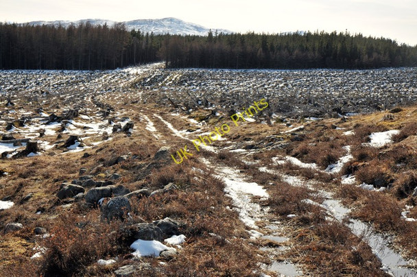 Photo 6"x4" Path through the cleared forest Eskadale c2010