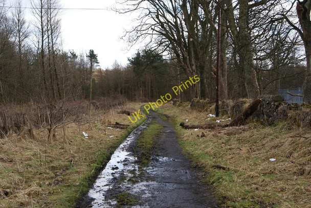 Photo 6"x4" Broom Road, Wardpark Cumbernauld c2010