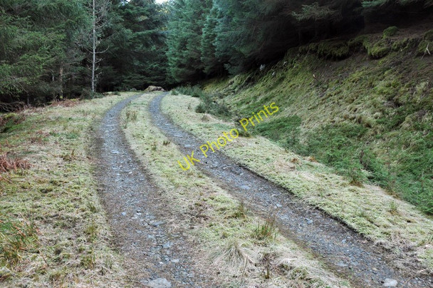 Photo 6"x4" Forest road near Glenfintaig Clunes c2010