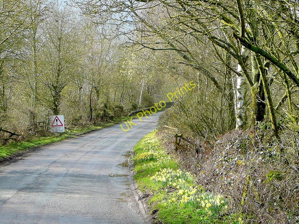 Photo 6"x4" Kempley Road Shaw Common c2010