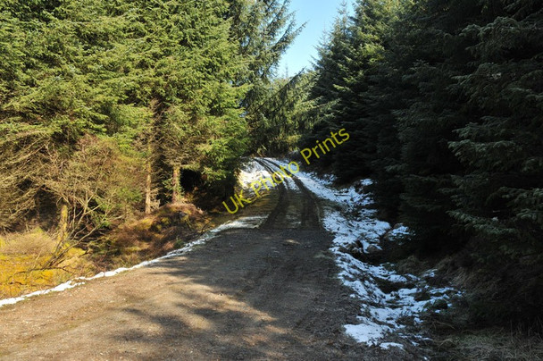 Photo 6"x4" Little used forest road near Spean Bridge Alltour c2010