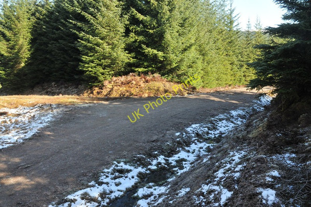 Photo 6"x4" Junction of the forest roads Stronaba c2010