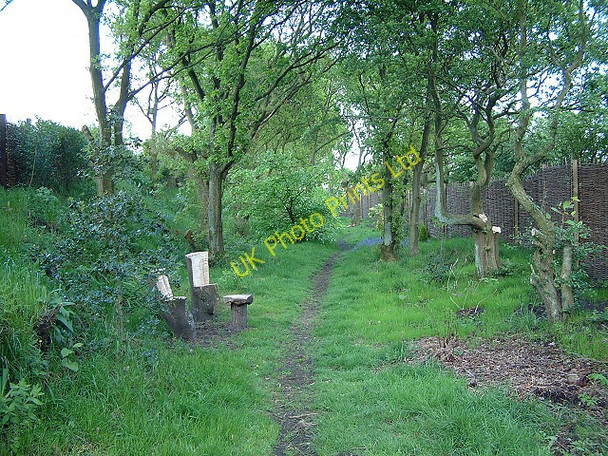 Photo 6"x4" Footpath at Brownlow Billinge c2006