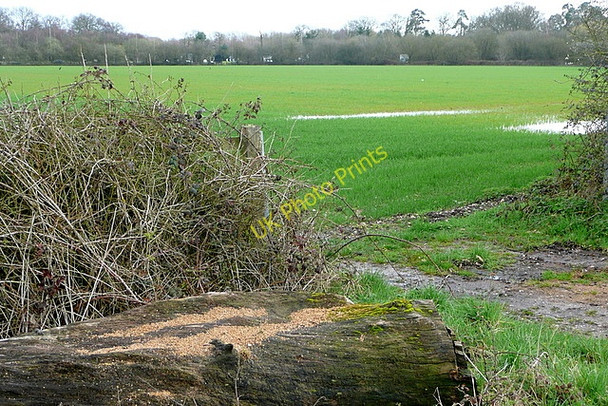 Photo 6"x4" Field at Park Corner Riseley\/SU7263 c2010