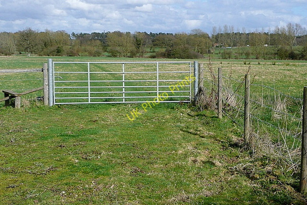 Photo 6"x4" Fields north of Riseley Mill Bramshill c2010