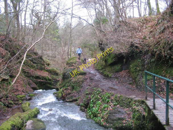 Photo 6"x4" Burn,  Bridge of Allan Bridge of Allan c2010