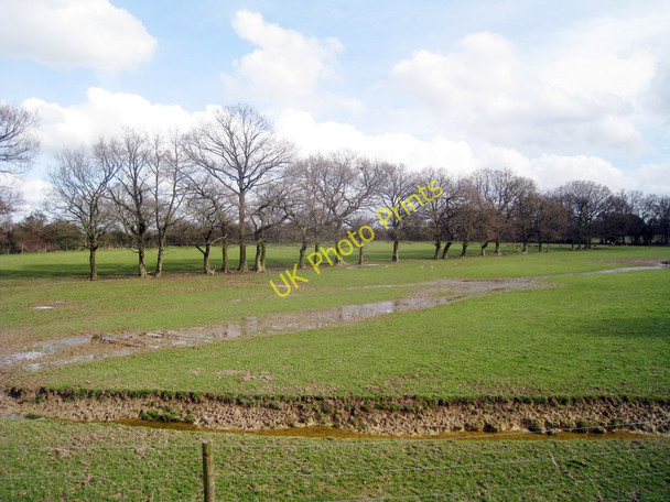 Photo 6"x4" Deer Park at British Wildlife Centre, Lingfield Newchapel\/TQ3642 c2010