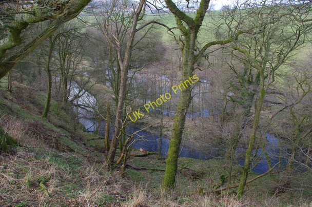 Photo 6"x4" Lupton Beck passes through Hobby Wood Lupton c2010