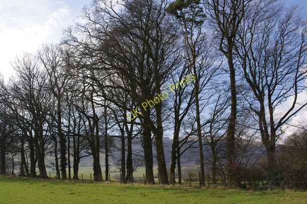Photo 6"x4" Grazing land at Lupton Lupton c2010