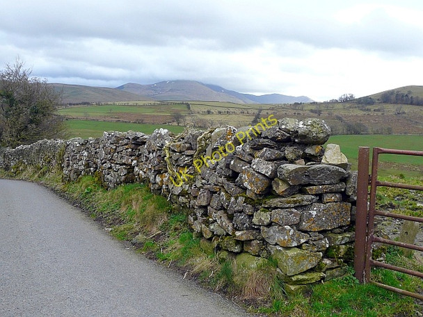 Photo 6"x4" A bumpy drystone wall Uldale\/NY2436 c2010