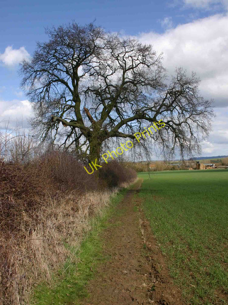 Photo 6"x4" Centenary Way footpath heading into Whatcote Whatcote c2010
