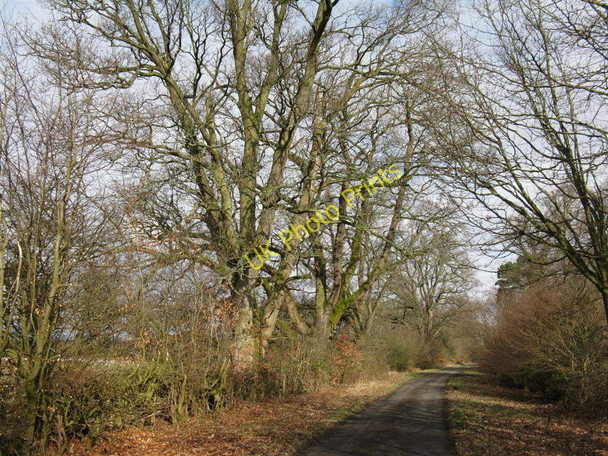 Photo 6"x4" Ochtertyre Road Blair Drummond c2010