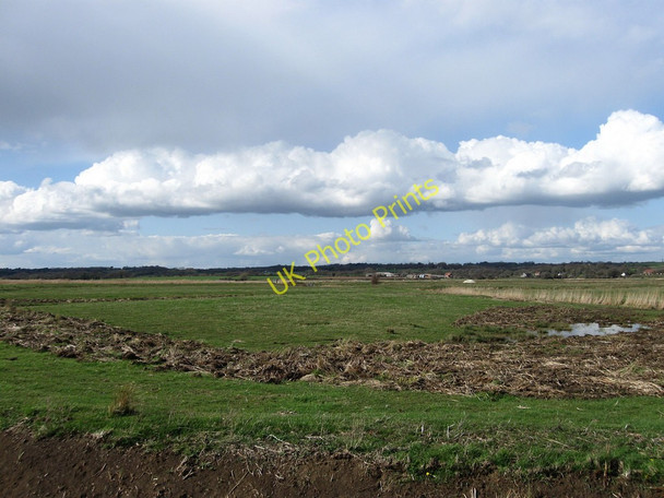 Photo 6"x4" Little Marsh Golden Cross\/TQ6310 c2010