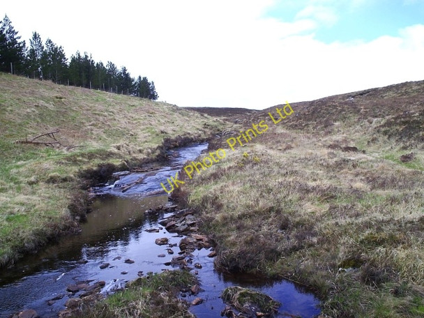 Photo 6"x4" A Highland Burn Alltan Fe\u00e0rna c2006