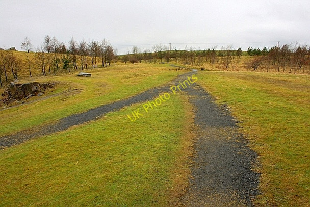 Photo 6"x4" Path Junction, Walltown Quarry Greenhead\/NY6665 c2010