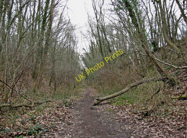 Photo 6"x4" Former Bewdley to Tenbury Wells railway line near Drymill Lane Bewdley\/SO7875 c2010
