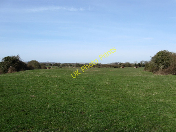 Photo 6"x4" Chilley Bridge Piece Pevensey c2010