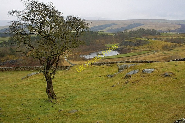 Photo 6"x4" Walltown Quarry Greenhead\/NY6665 c2010