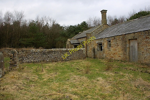 Photo 6"x4" The Old Farmhouse at Walwick Fell Walwick c2010