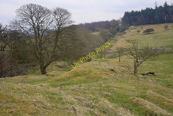 Photo 6"x4" The Vallum, Walwick Fell Simonburn c2010