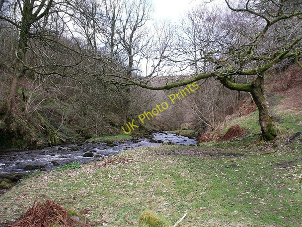 Photo 6"x4" The Garrel above Allanfauld Bridge Kilsyth c2010