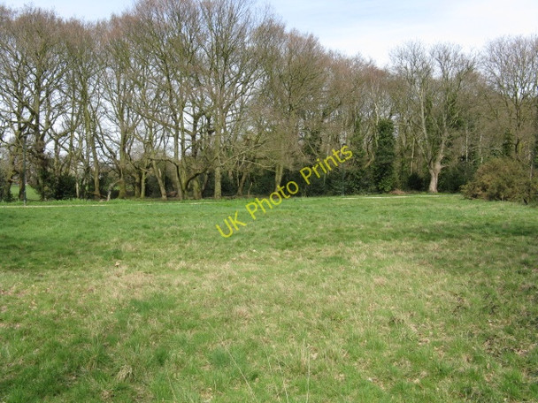 Photo 6"x4" Small clearing, Barnes Common Barnes c2010