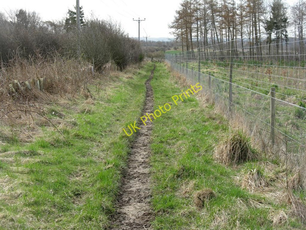 Photo 6"x4" Old railway path, bridle track and deer fence Macmerry c2010