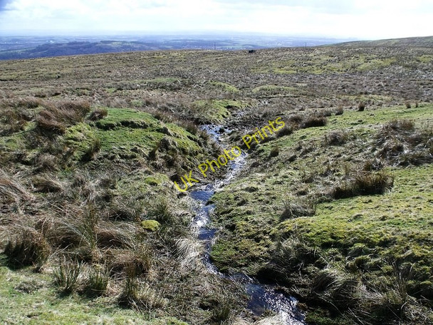 Photo 6"x4" Tributary of the Colzium Burn Kilsyth c2010