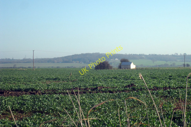 Photo 6"x4" Crop Fields near Bellfield Farm Newchurch\/TR0531 c2010