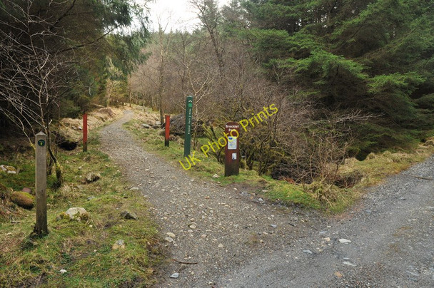 Photo 6"x4" Brecklet Path, Ballachulish Ballachulish c2010