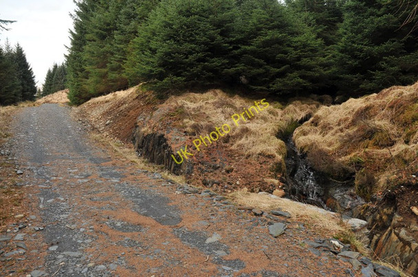 Photo 6"x4" Access track in the forest south of Ballachulish Ballachulish c2010