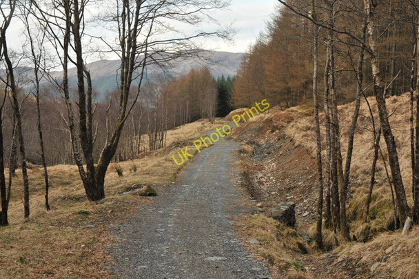 Photo 6"x4" Path south of Ballachulish Ballachulish c2010