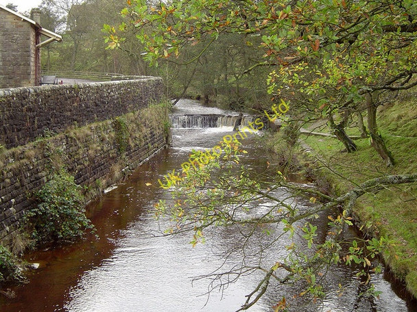 Photo 6"x4" Eller Beck Goathland c2005