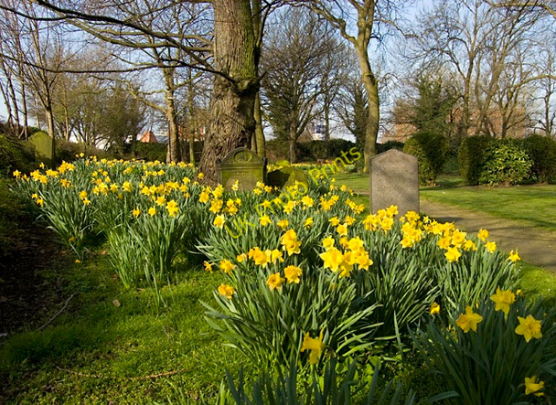 Photo 6"x4" Holy Trinity burial ground, Hull Kingston upon Hull c2010