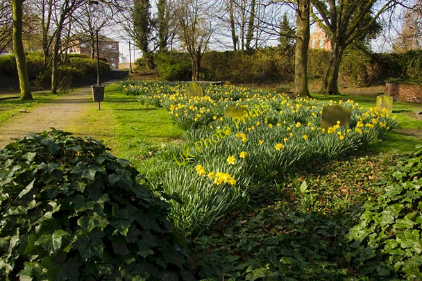 Photo 6"x4" Hull burial ground, looking south-west Kingston upon Hull c2010