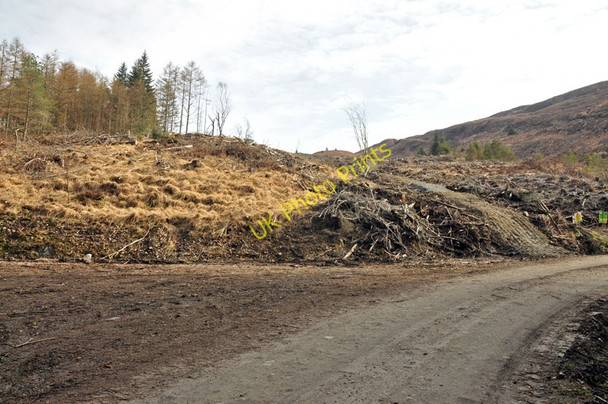 Photo 6"x4" Recent forestry work near Inchree Inchree c2010