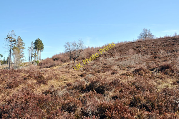 Photo 6"x4" Moorland above Shewglie Wood Carn na h-Imrich c2010