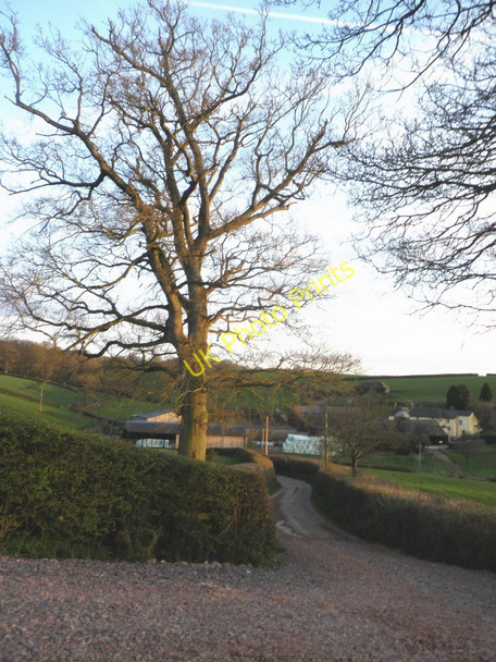 Photo 6"x4" Road to Lower Comberoy Farm Hollis Head c2010