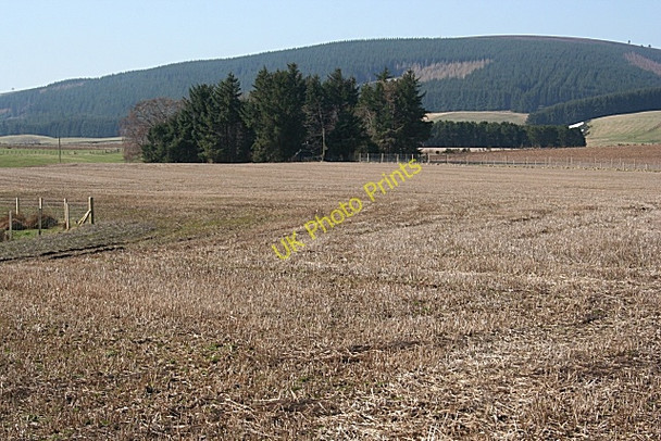 Photo 6"x4" Near Muirend Lumsden c2010